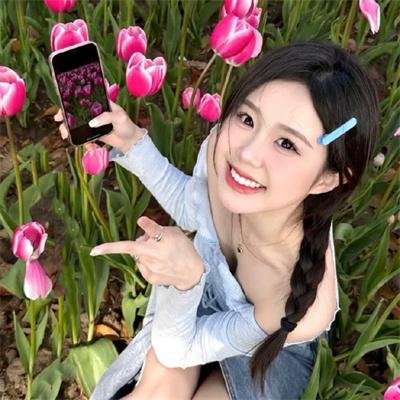锦月如歌